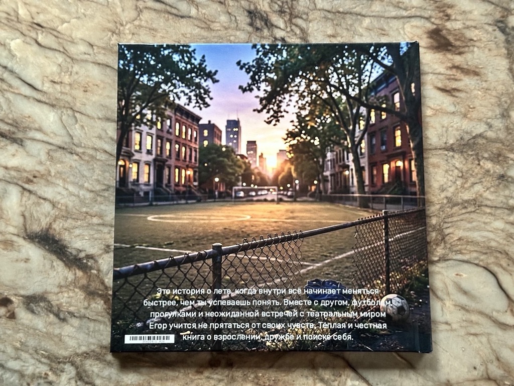 Задняя обложка «Дима и сад неизвестных фигур»